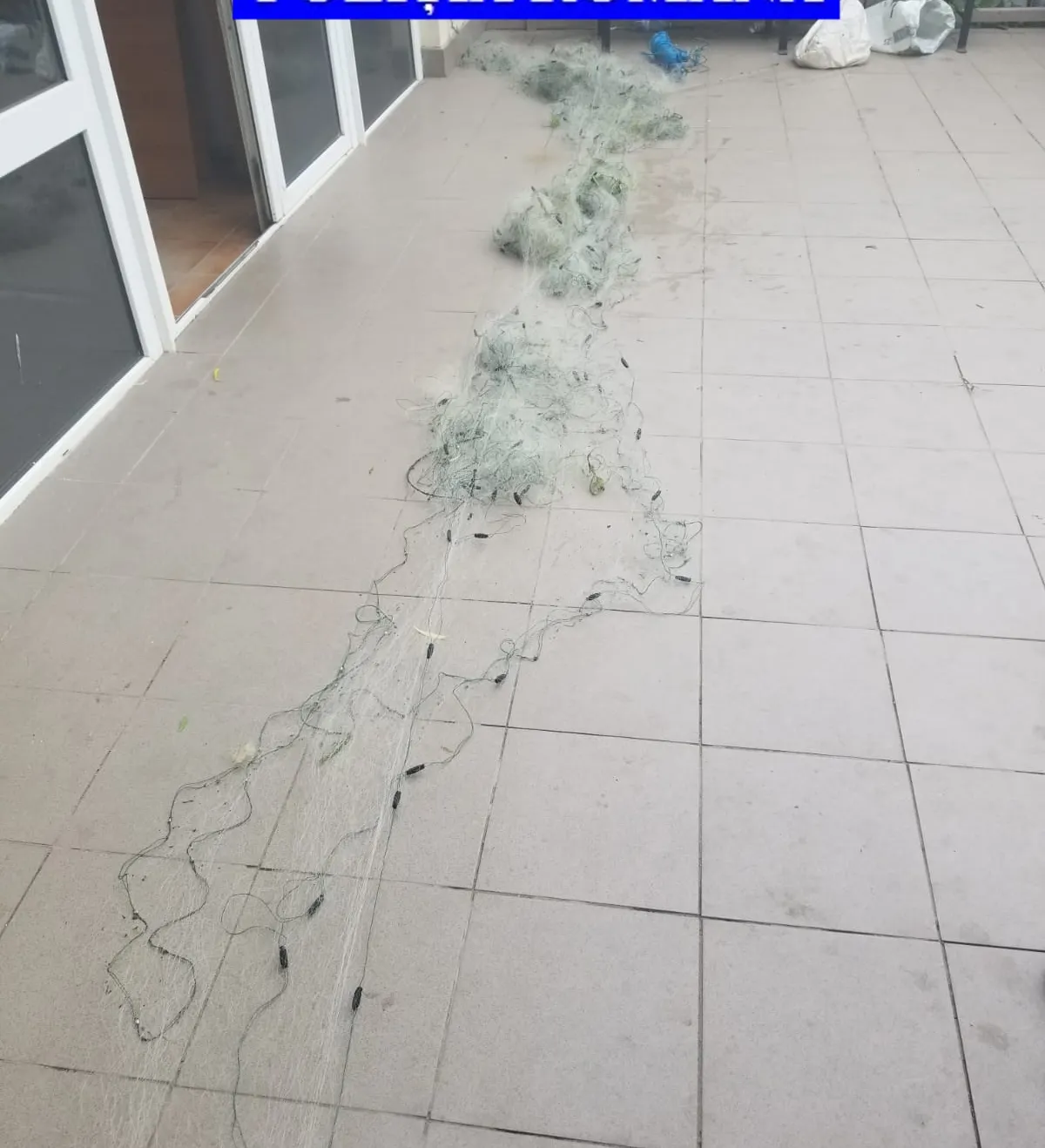 trei - plase monofilament