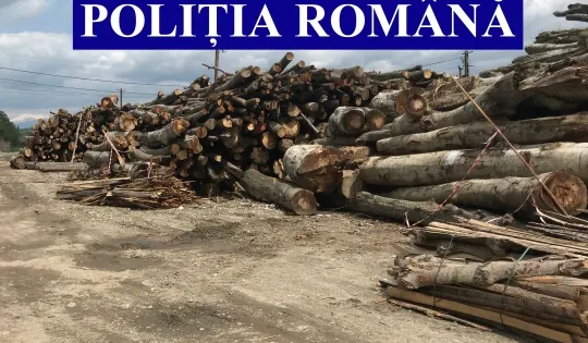 Depozitase lemne pe calea ferata de manevră!