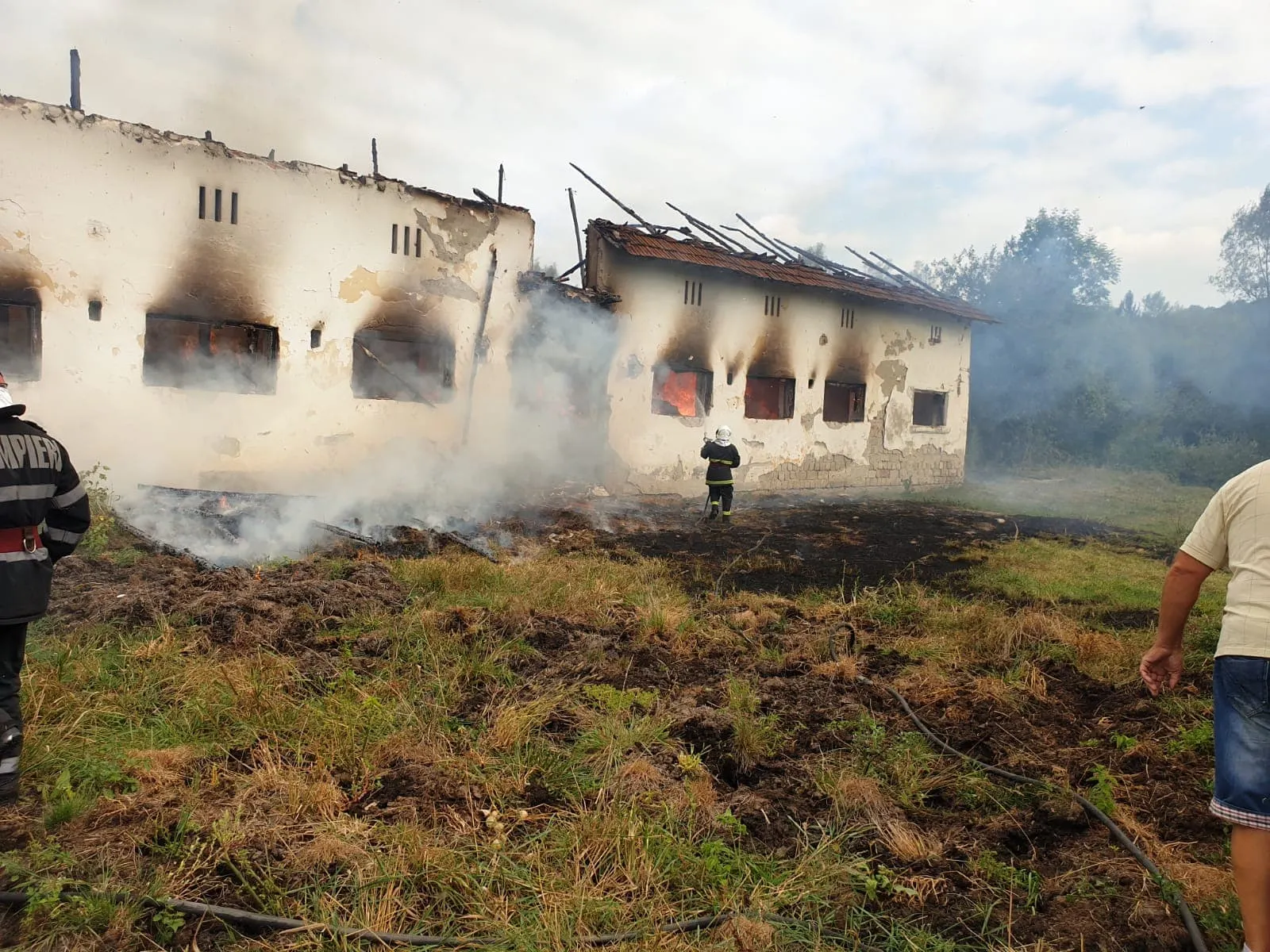 animale arse de vii in incendiu la Cetăţeni (4)