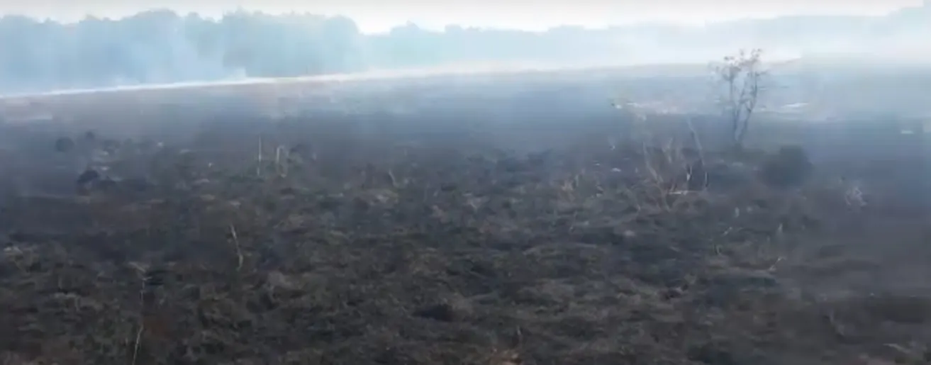 incendiu vegetație uscata