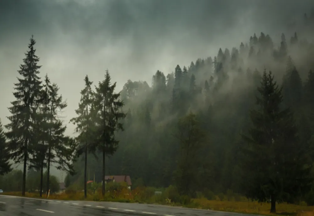 Cod roșu de vânt puternic în zonele montane din Argeș