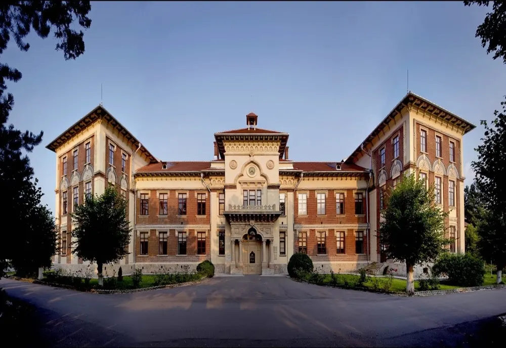 Cursuri on-line la Colegiul Carol I, din Argeș!