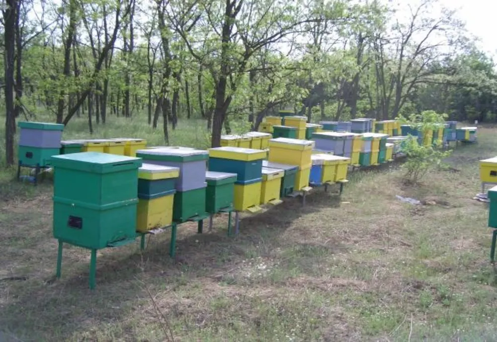  A furat stupii și i-a vândut