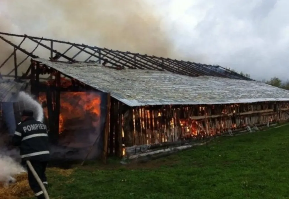 Încarcerat după ce a incendiat un saivan și doi câini