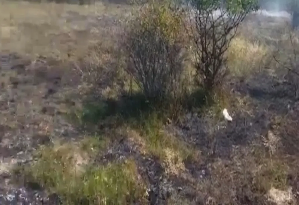Incendiu de vegetație în Argeș