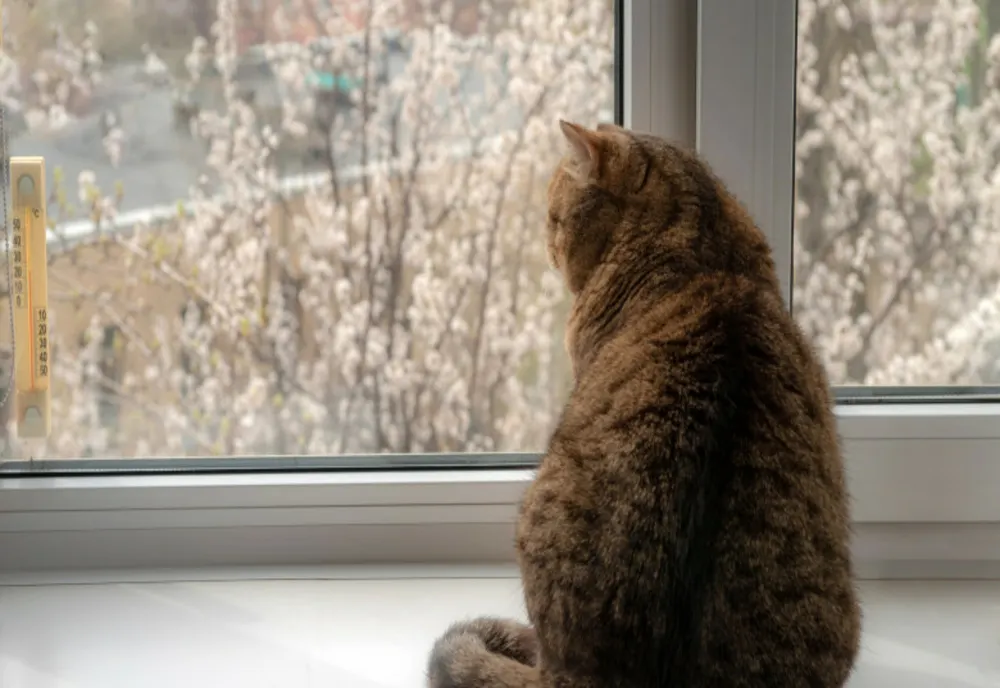 Temperaturi scăzute astăzi în vestul, centrul şi nordul ţării