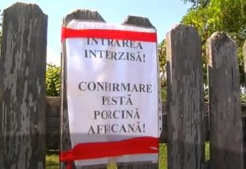 30 de focare noi de pestă porcină în România în câteva zile