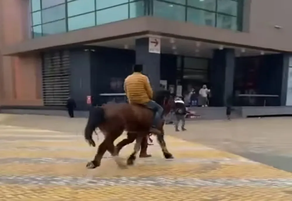Călare în mijlocul orașului