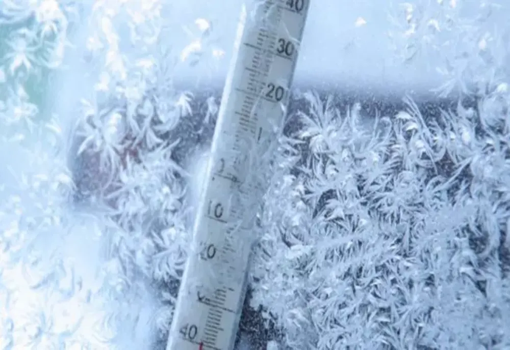 Val de aer polar în România, de Florii
