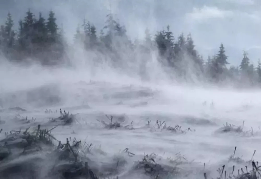 Ninsori și intensificări ale vântului, începând de astăzi. Atentionare meteo