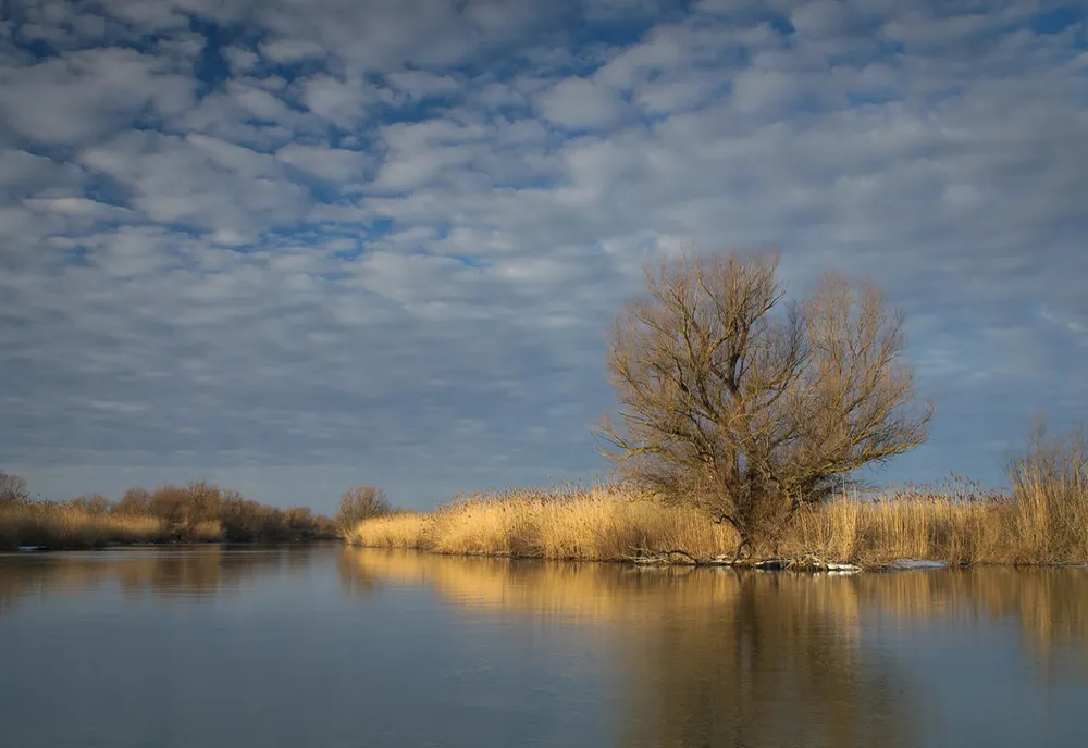 Moldova și Delta Dunării, în topul cu cea mai bună mâncare din lume
