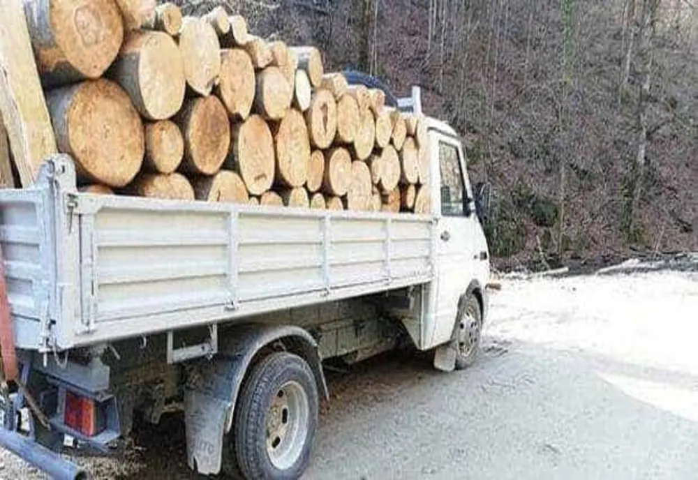 DELICTELE SILVICE NU IȘI IAU ZILE LIBERE