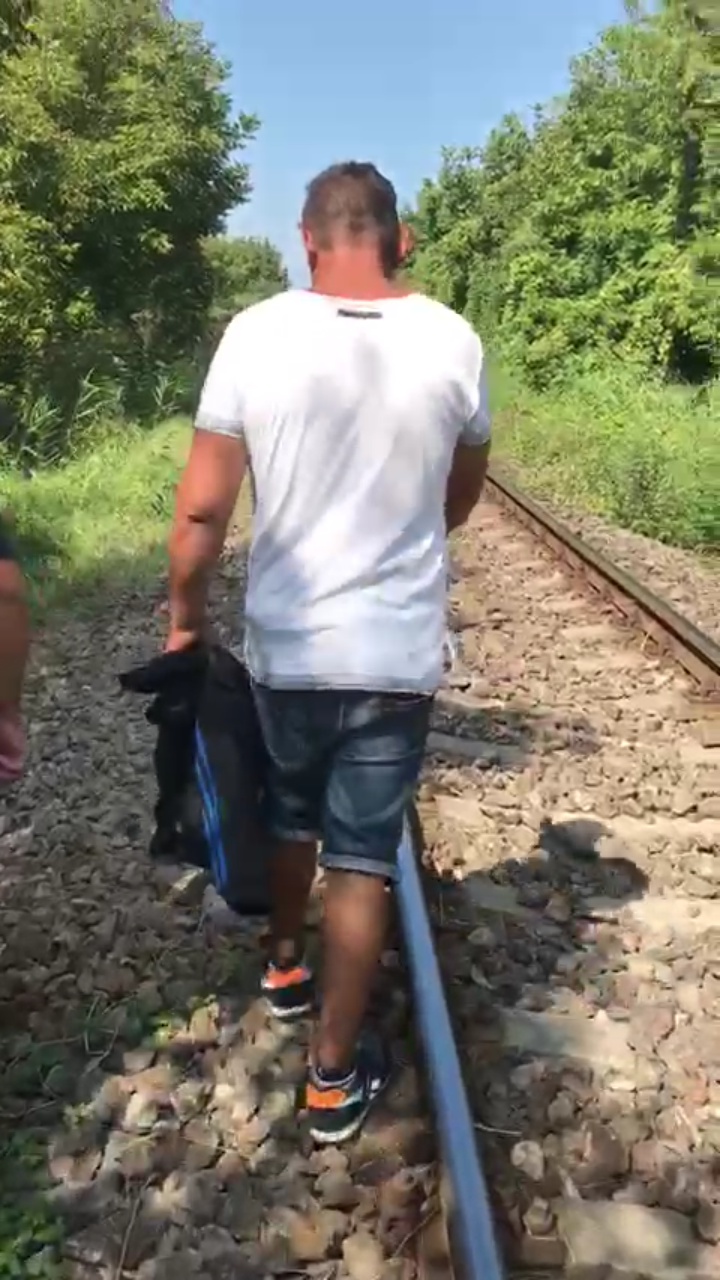 agresor retinut după ce a atacat o adolescentă cu cuțitul