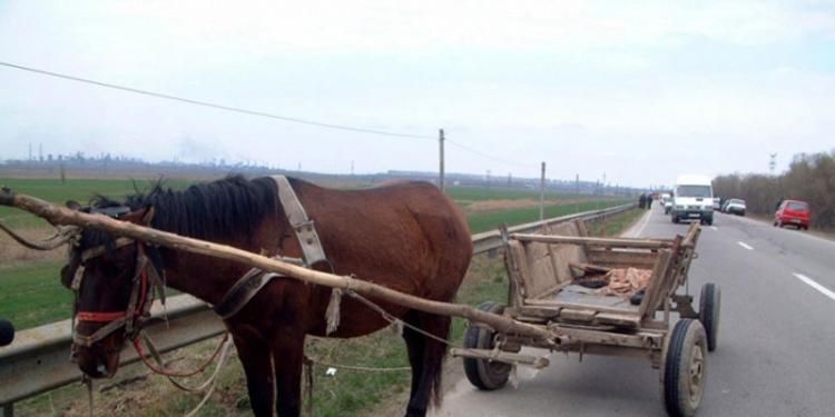 A furat un cal cu caruta cu tot