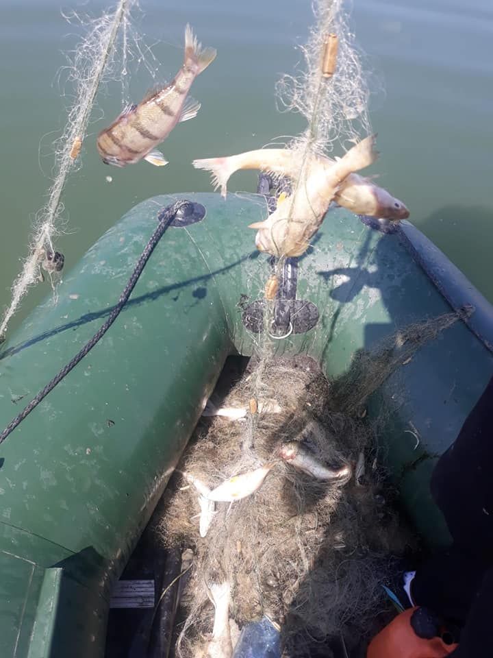 peste prins in plase