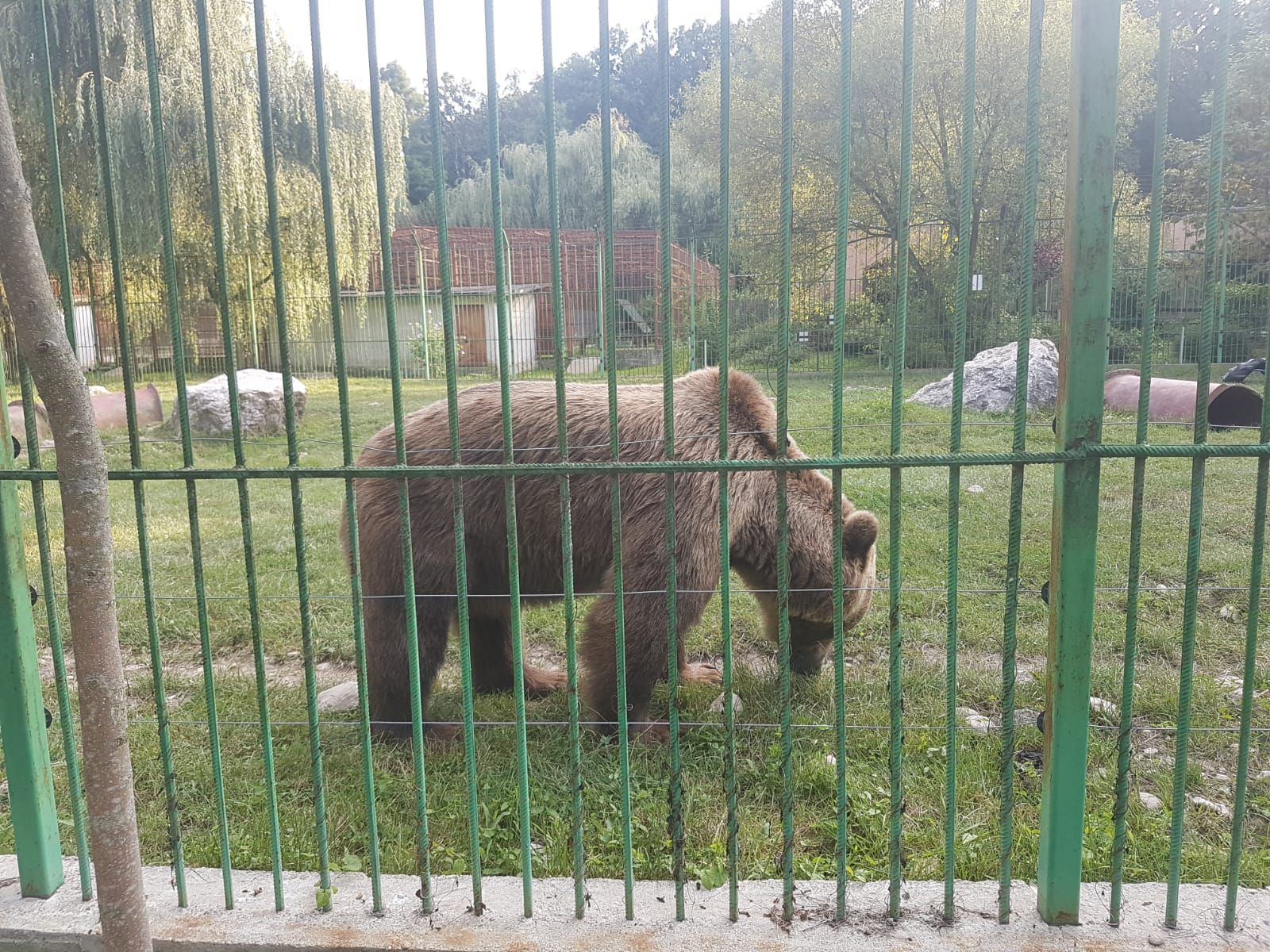 ZOO Pitești angajeaza