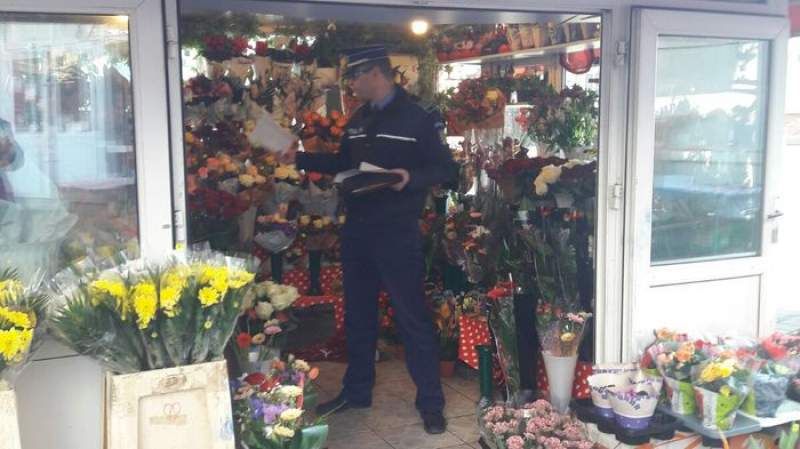 florăriile din Pitești verificate