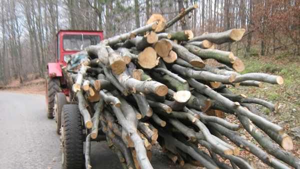 transportau lemne ilegal