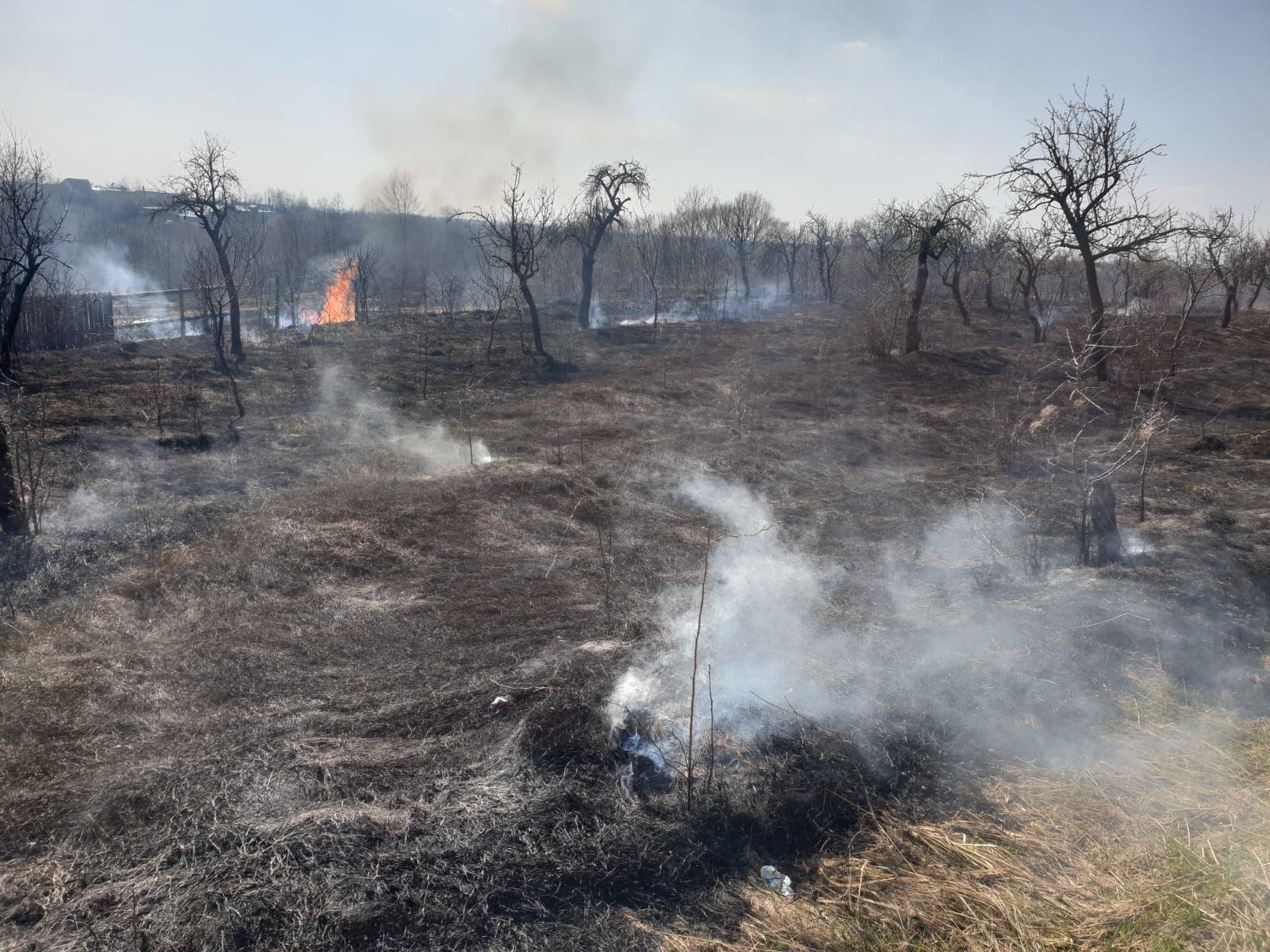 peste 4 incendii pe zi