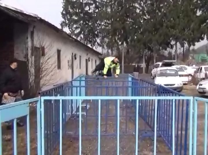 s-au întrecut polițiștii