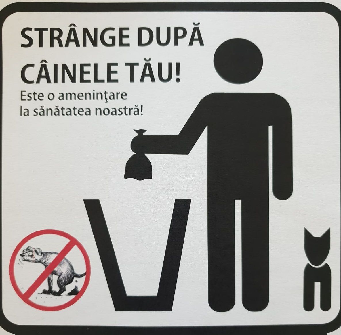 strânge după câinele tău