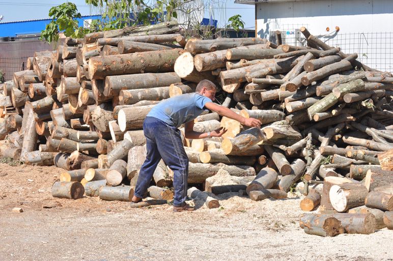 Pacaliti pe interent cu oferte false de vanzare de lemne