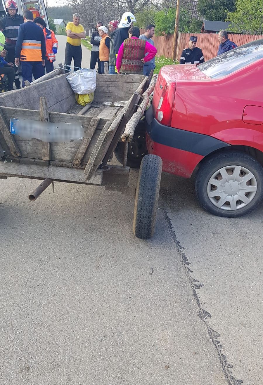 căruțaș inconștient beat