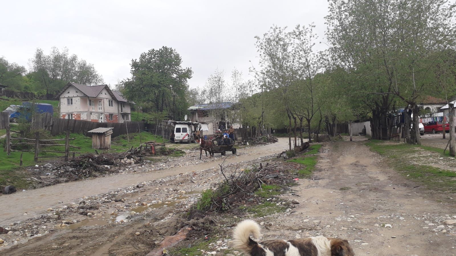 Ambulante blocate de viitură la Păuleasca 1