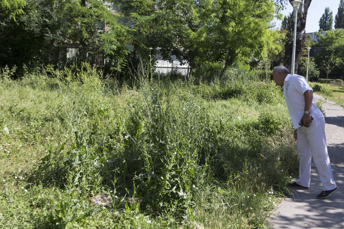 locatarii trebuie sa cosească iarba de lângă bloc