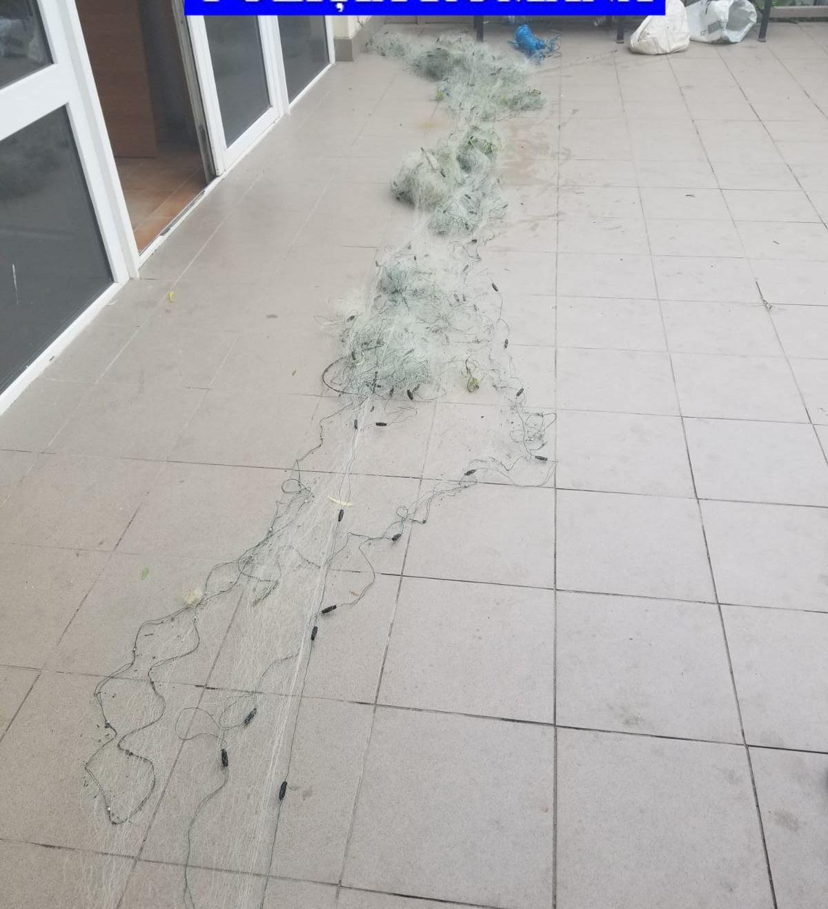 trei - plase monofilament