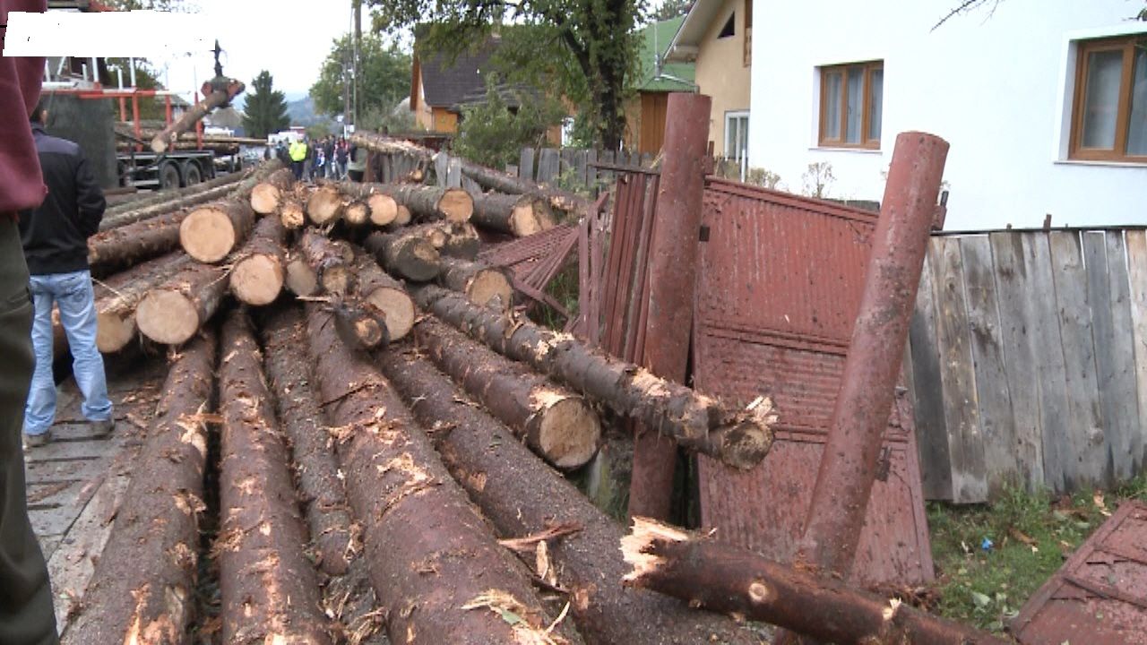 camion cu lemne răsturnat în curte