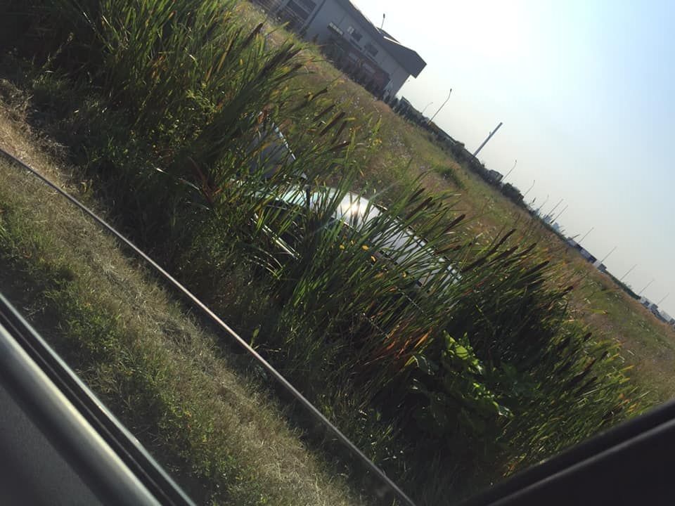 cu mașina în șanț