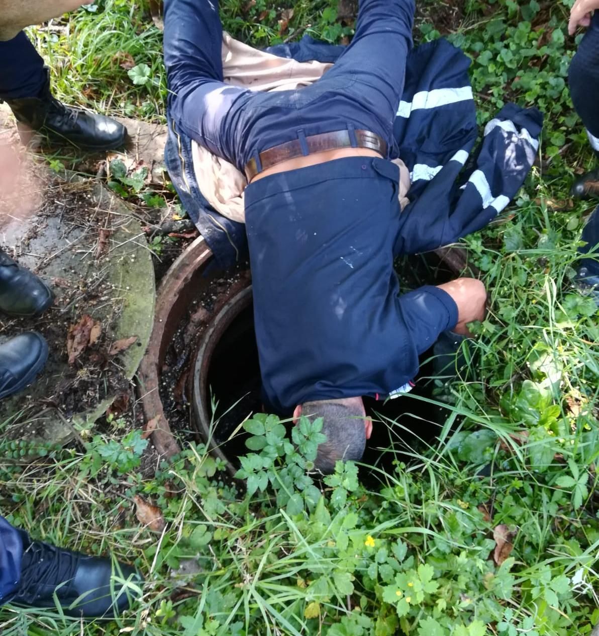 câine salvat de pompieri