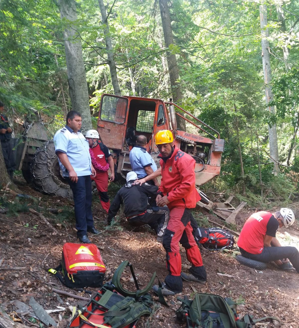 exploatație forestieră