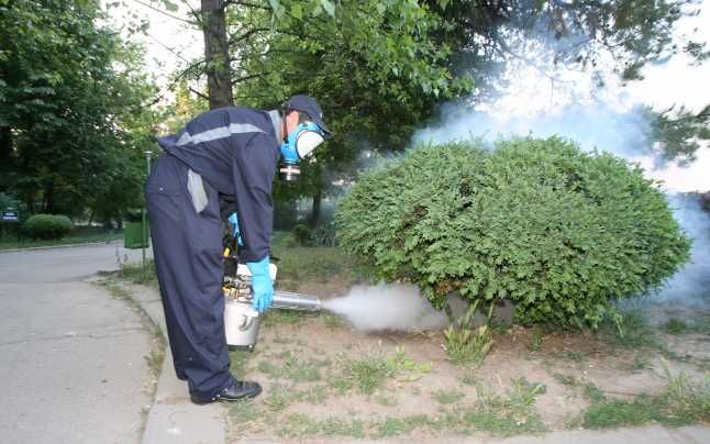 Se vor facer stropiri împotriva dăunătorilor în Pitești