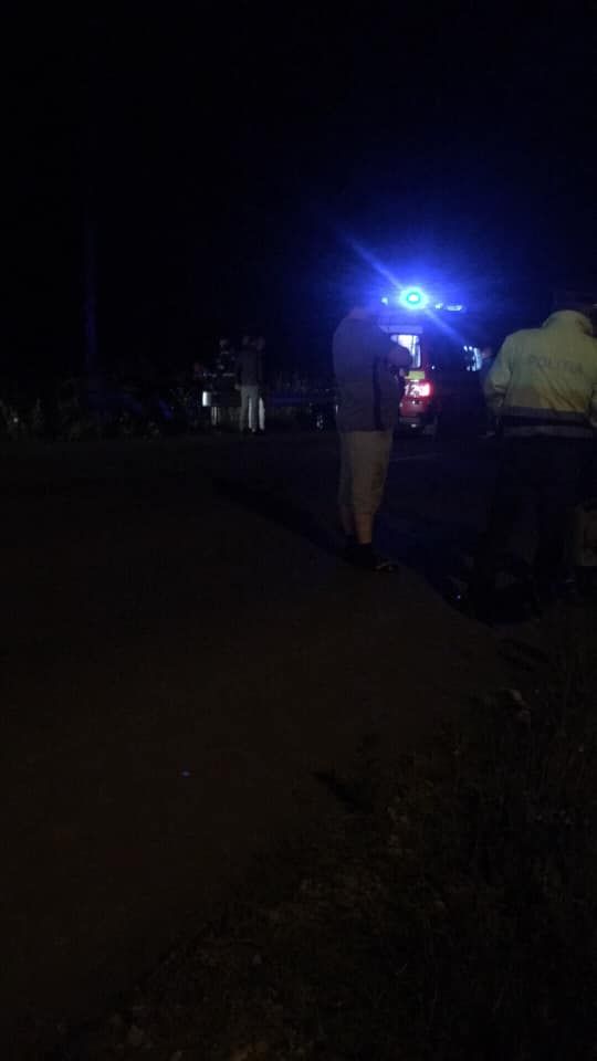 cal omorât pe șosea de o mașină 3