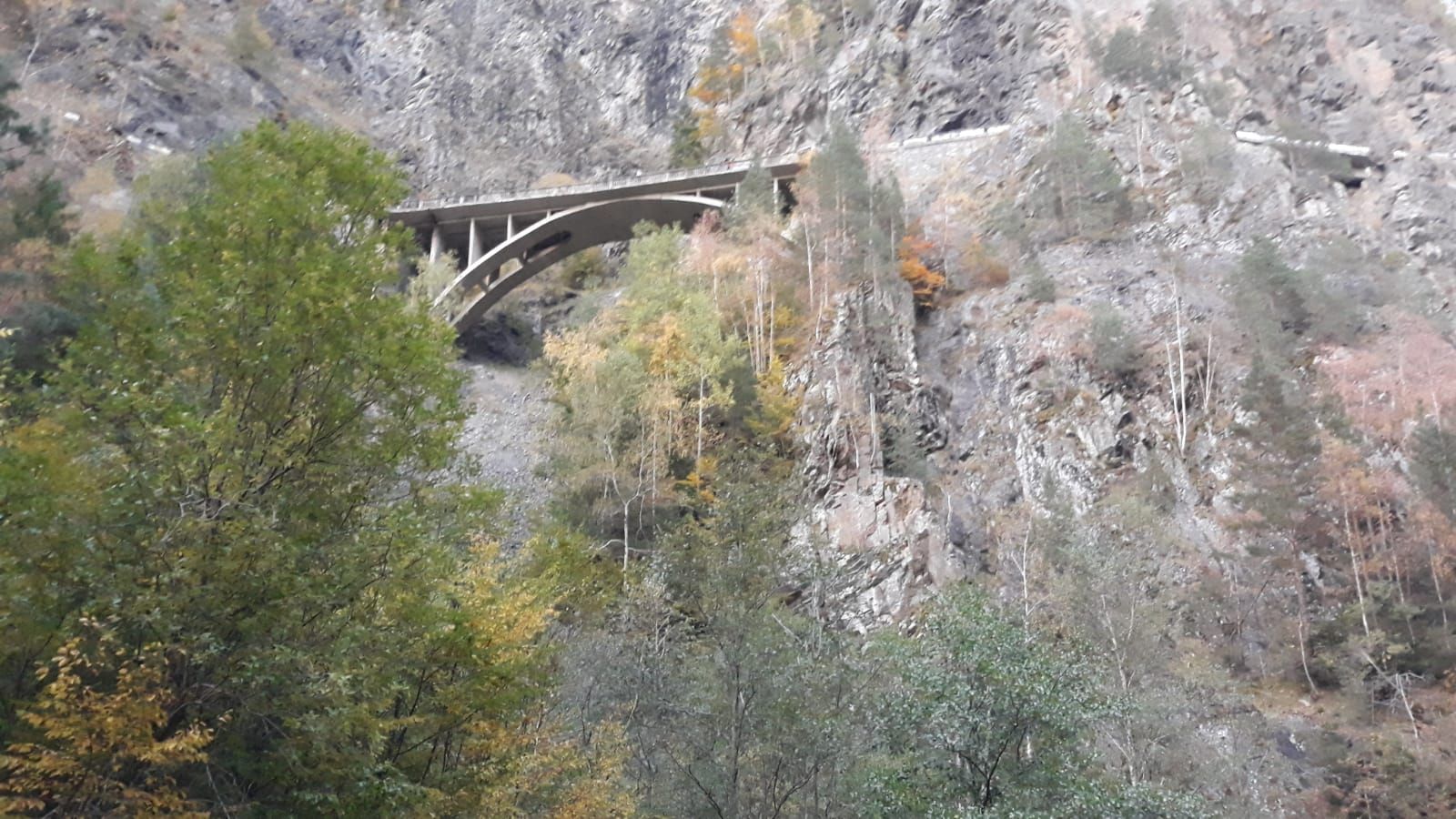 S-a sinucis pe Transfagarasan! 4