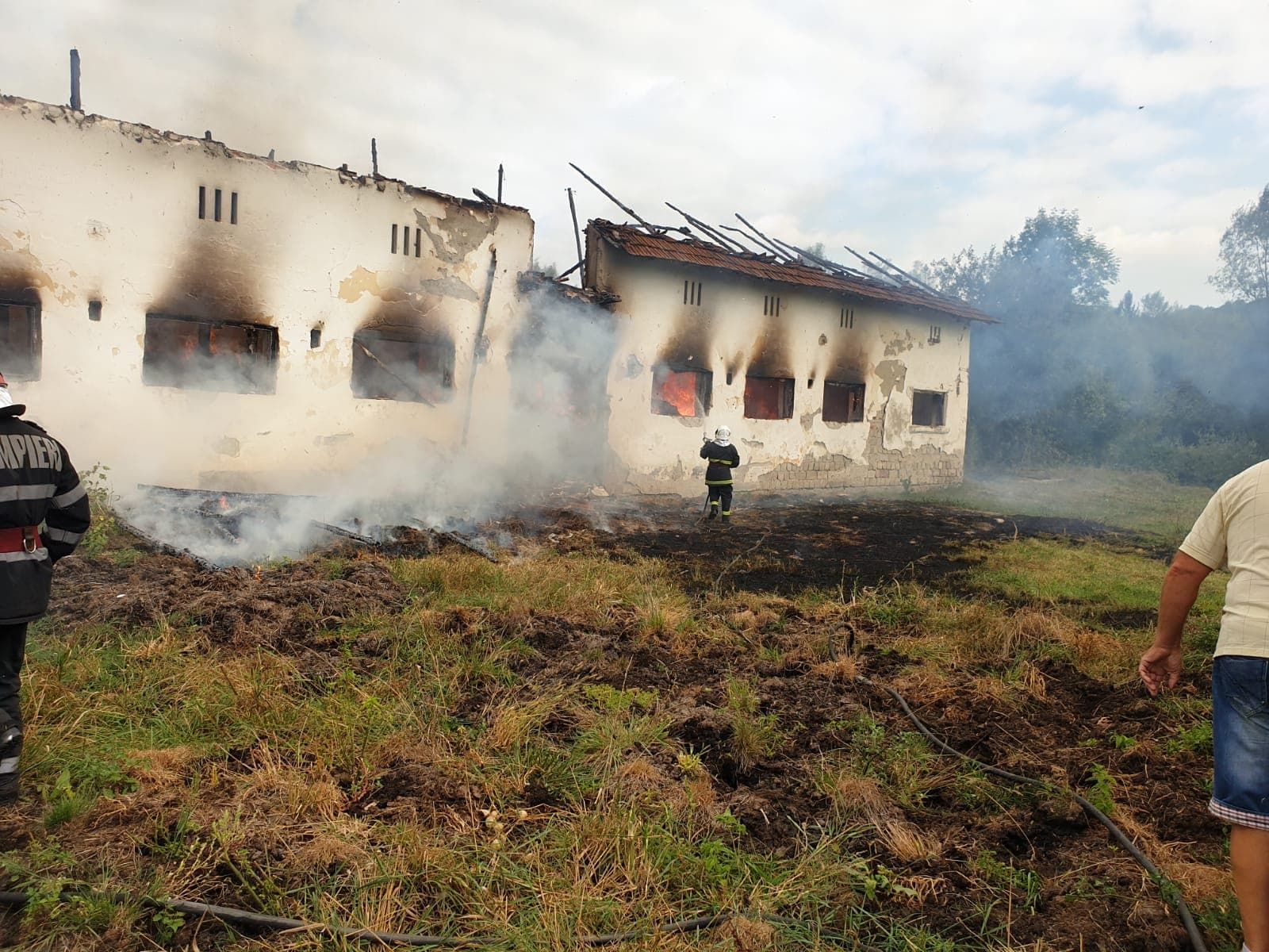 animale arse de vii in incendiu la Cetăţeni (4)