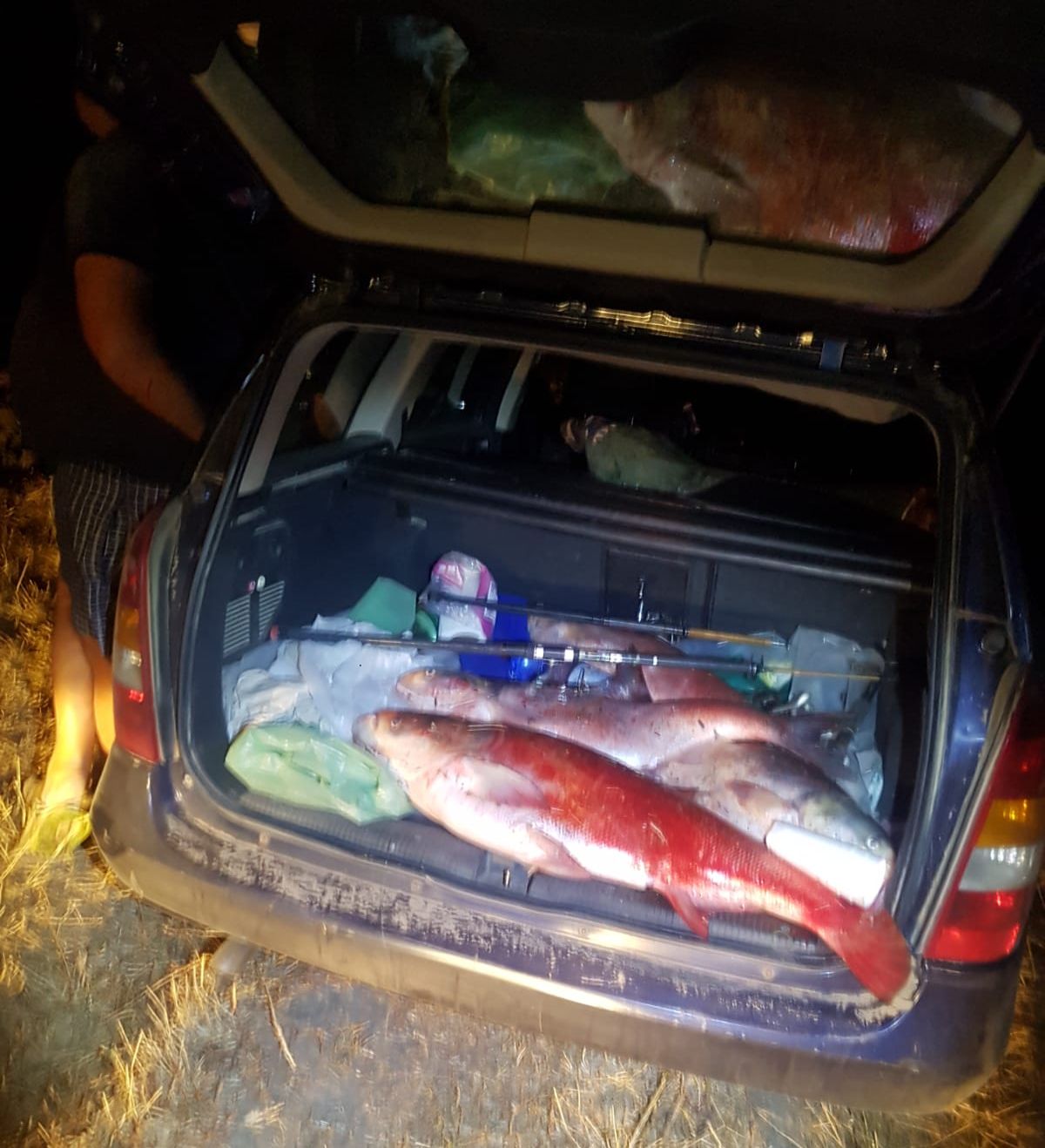 braconieri depistați în flagrant