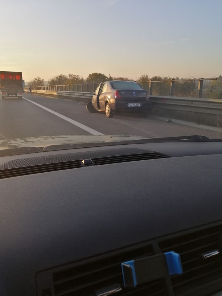 Accident A 1 provocat de un cal.1