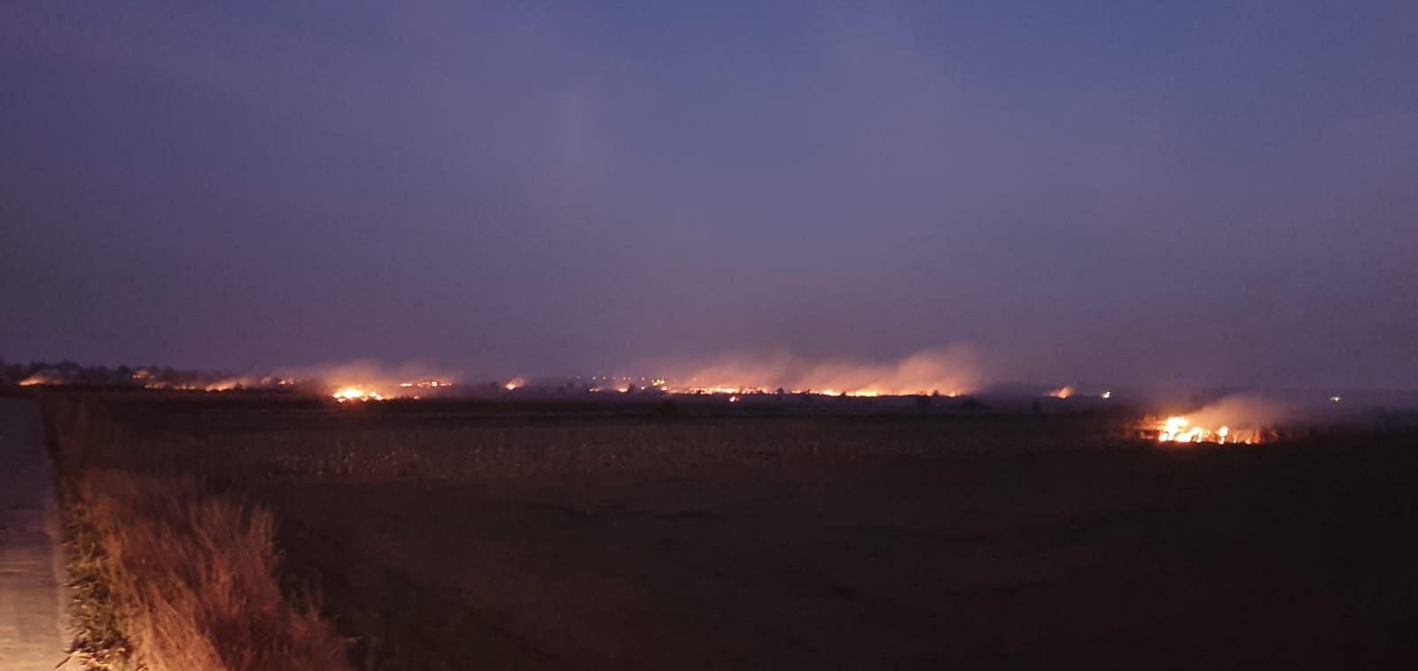 incendiu de vegetație uscată Leordeni