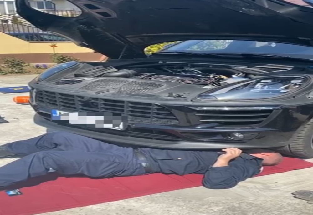 Video-Operaţiune inedită de salvare a unei pisici! 