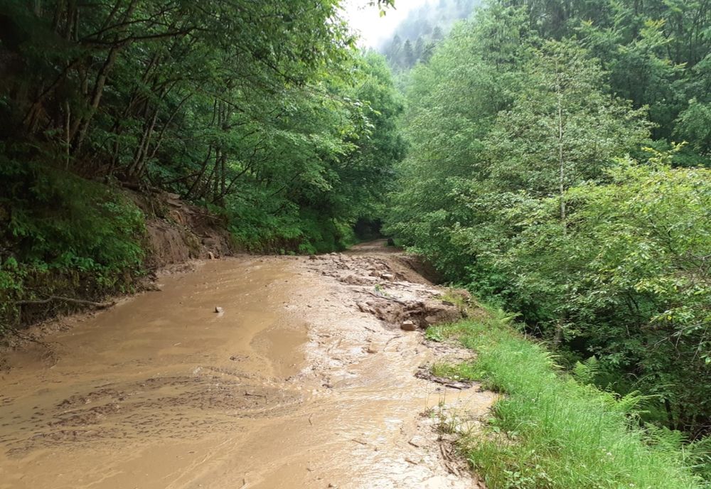 Dum blocat de aluviuni în apropiere de cabana Cumpăna!