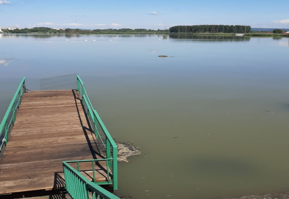 Cadavru găsit plutind pe apă, la baraj, în Pitești 