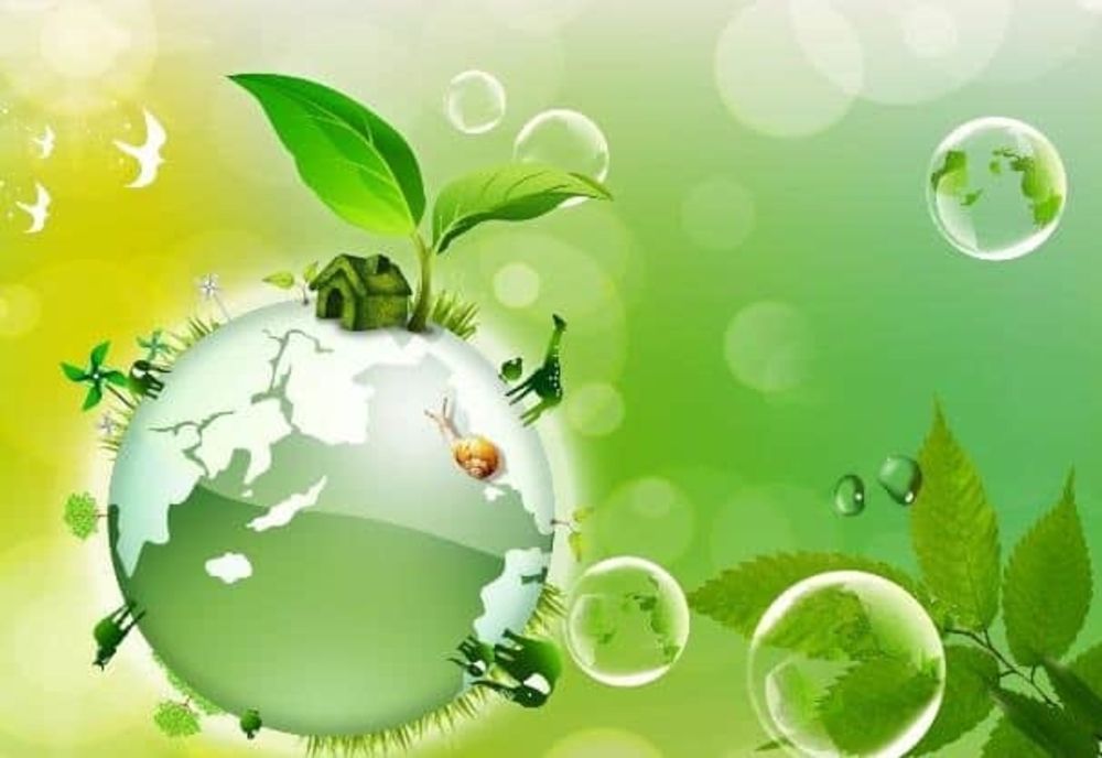 Atenție, piteșteni! Tratamente fitosanitare prin stropiri cu mijloace terestre