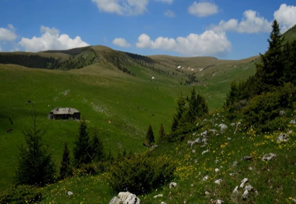 Rute alternative pentru turiștii care vor să evite aglomerația spre mare și munte