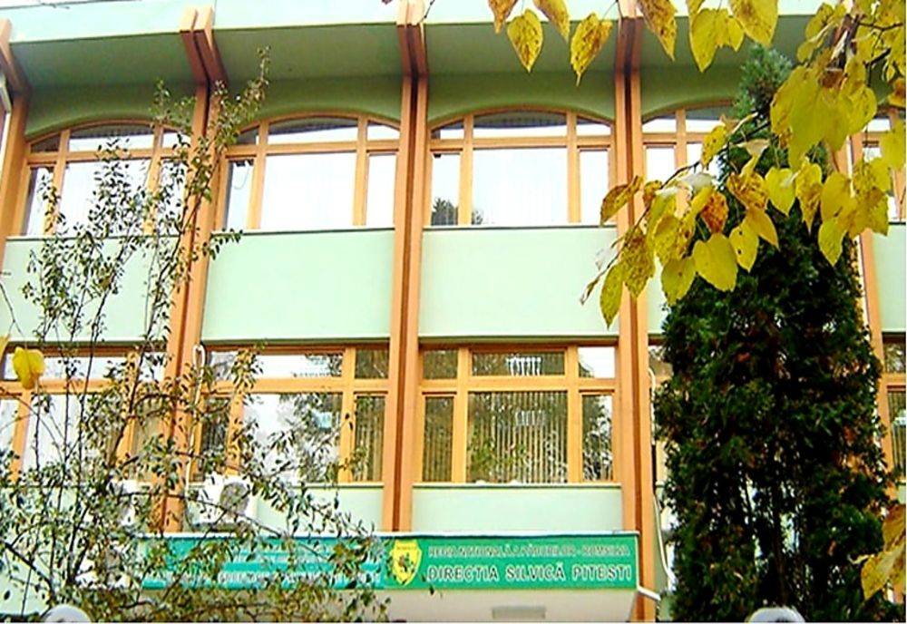 Raport despre activitatea Direcţiei Silvice Argeş