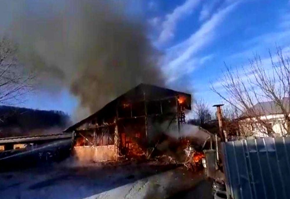 Incendiu în Topoloveni