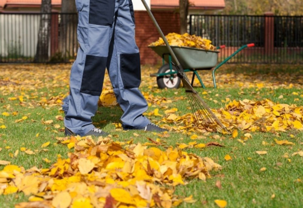 Vremea se schimbă începând de mâine