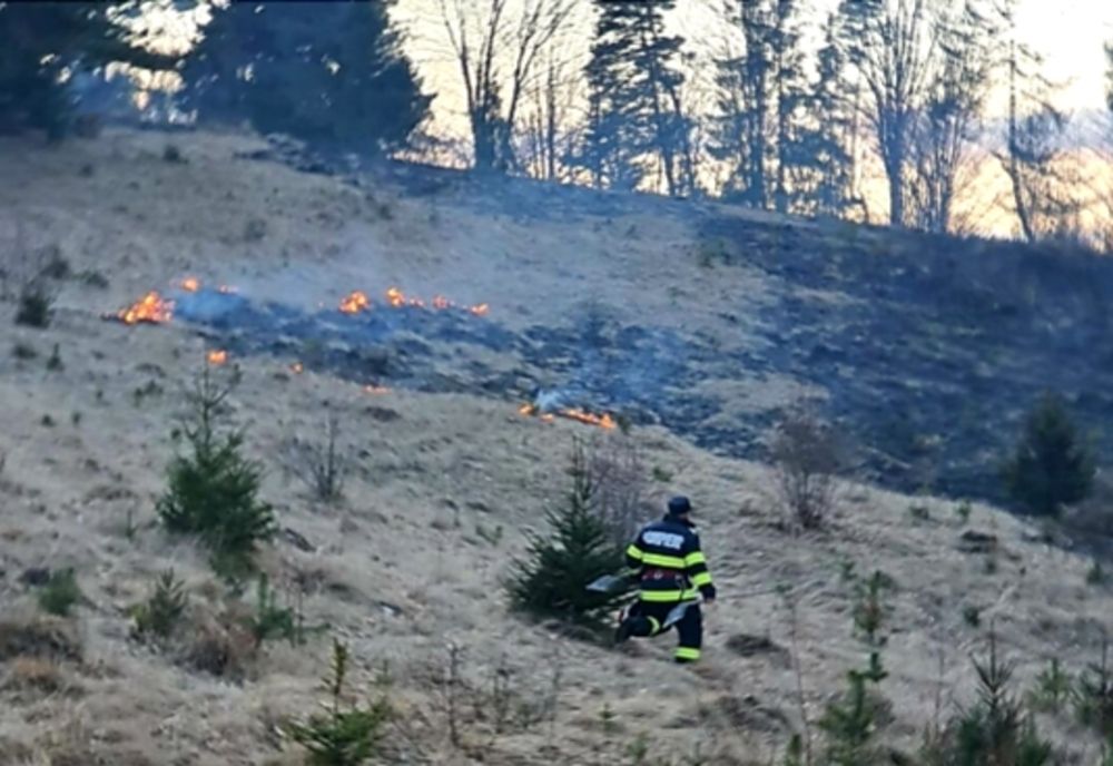 Pompierii se luptă în Argeș cu flăcările de mai bine de o lună